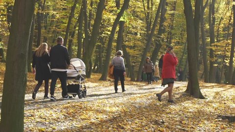 People walking in autumn park on sunny fall day. Mother with stroller in fall park.