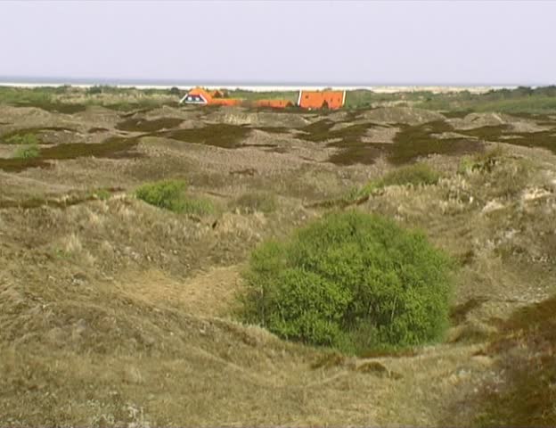 Dunes (Spiekeroog island, germany)