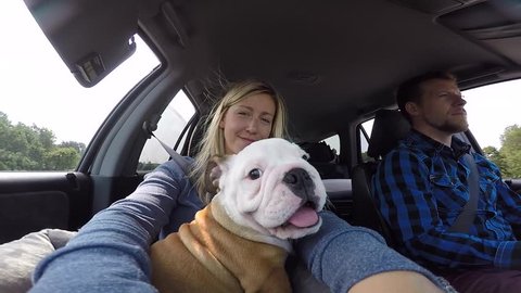 cute puppy in car with his new family