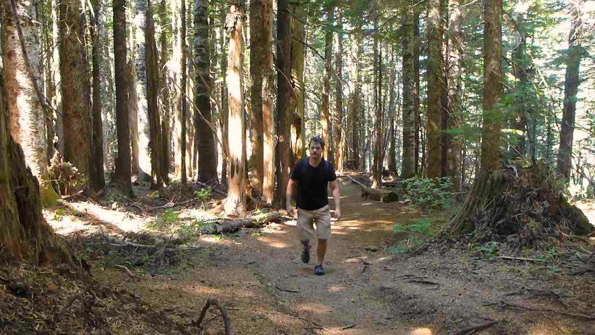 Man hikes up trail through thick forest in the Pacific Northwest, Oregon.