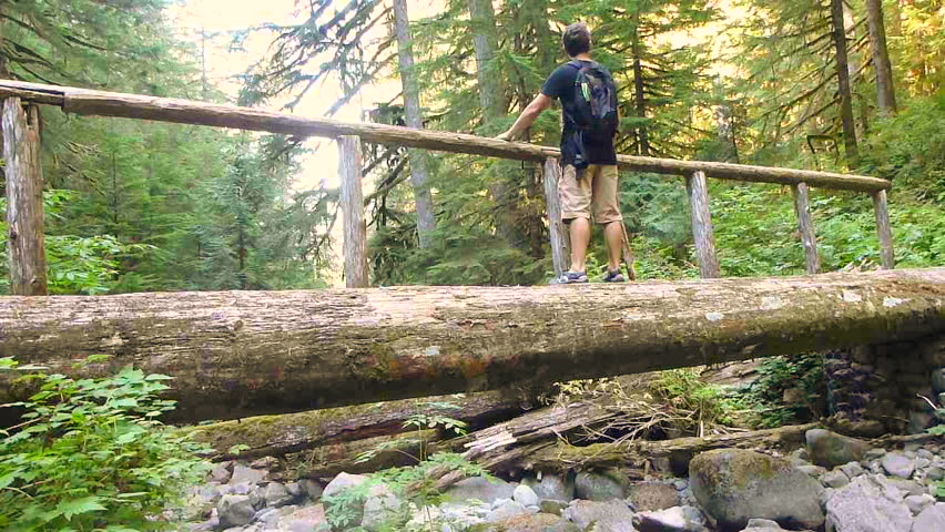Man hiking on log foot bridge over river into through thick forest in the