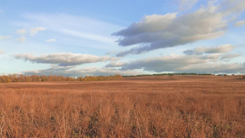 Panoramic landscape of countryside in autumn sunny day / Landscape of countryside in autumn