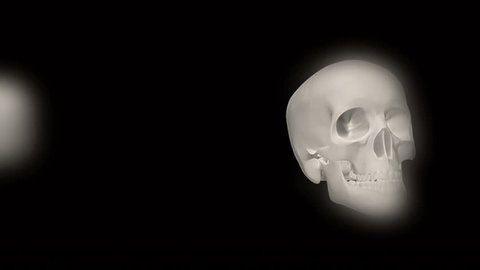 Fast moving Halloween skulls blur in and blur out of frame looping animated element or background