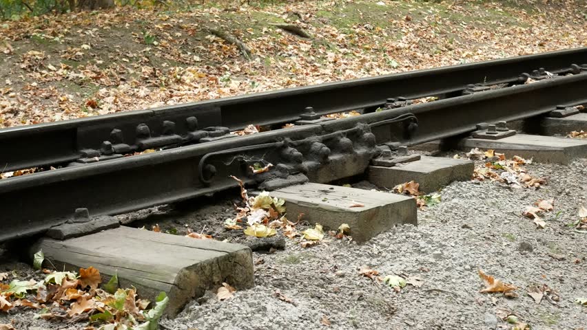 Young man walks between the railway rails. A railroad station in the forest in the autumn. Student traveler with a black backpack and in a blue jacket walks away from the camera