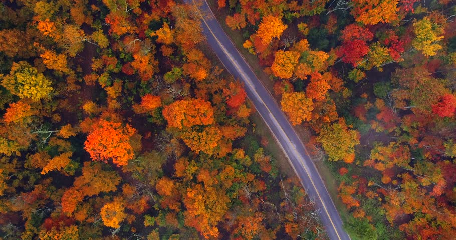 Dazzling aerial aerial view of country road through breathtaking Autumn colors under thin layer of fog, aerial view.