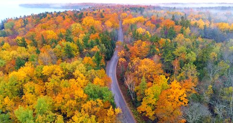 Dazzling aerial aerial view of country road through breathtaking Autumn colors under thin layer of fog, aerial view.
