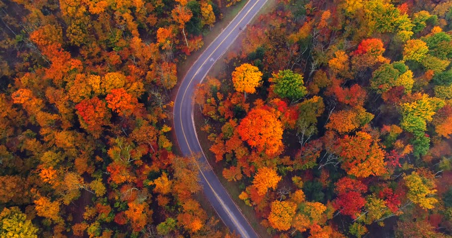 Dazzling aerial aerial view of country road through breathtaking Autumn colors under thin layer of fog, aerial view.