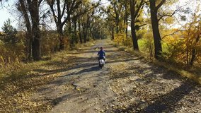 The road in the yellow autumn forest with alley and boy ride on a scooter