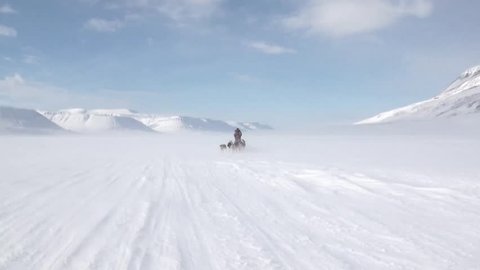 People expedition on dog sled team husky Eskimo road of North Pole in Arctic. Way from airport Longyear to Pyramid Spitsbergen on background of glacier mountains Svalbard in Norway.