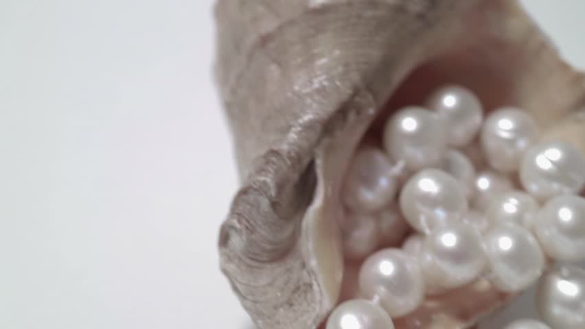 Natural pearls close-up in the shell of a clam. Smooth motion and rotation