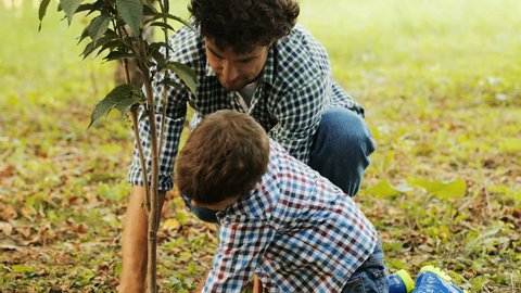 Closeup. Portrait of a little boy and his dad planting a tree. The boy kneels by the tree. They press the soil with their hands. Blurred background