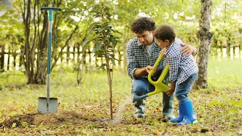 Portrait Boy His Dad Planting Tree Stock Footage Video (100% Royalty ...