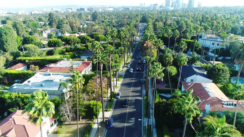 aerial shot beverly hills palm trees Stock Footage Video (100% Royalty ...