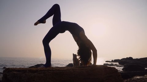 Young woman in bodysuit practicing yoga with cat on the beach above sea at amazing sunrise. Fitness, sport, yoga and healthy lifestyle concept. Girl doing a bridge,