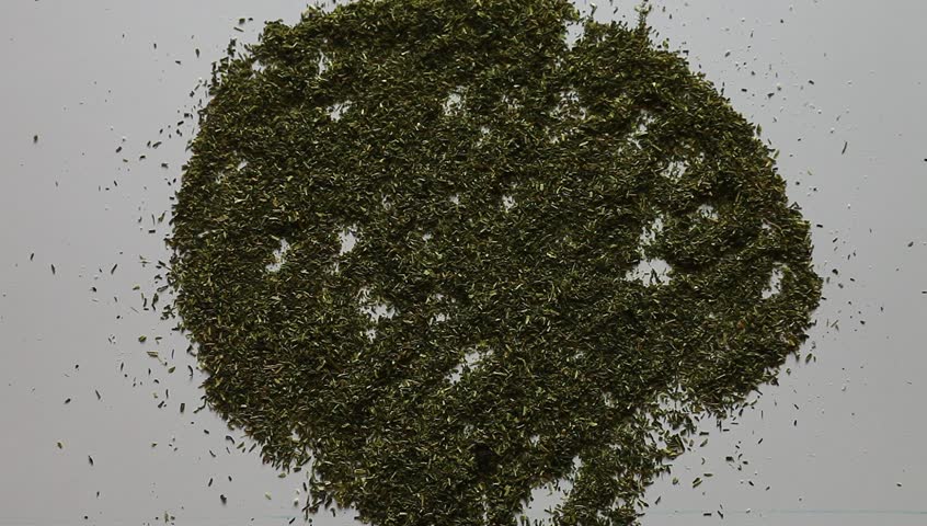 Young adult woman draws tree silhouette in dry dill.
