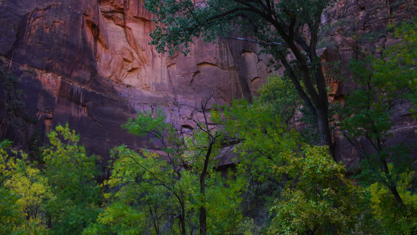 Zion National Park, Utah, Usa, North America, America