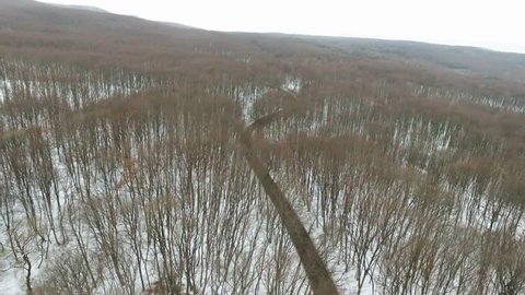 Aerial Shot of a Roadway through a Forest in Winter