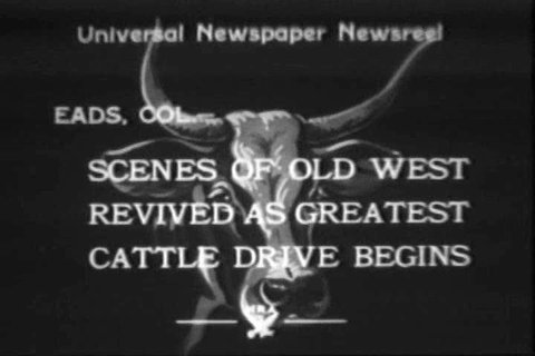 CIRCA 1930s - A Colorado cattle drive takes place in 1933.