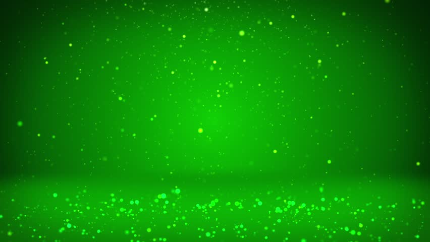 green shiny pants