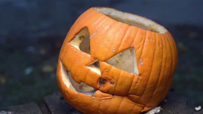 Closeup side shot of Jack-o-lantern made for Halloween. Rotten pumpkin covered with mold standing on a burnt stump. Rainy autumn evening. Light moves in different directions.