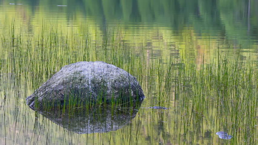 Glacier erratic boulder reflects into Bubble Pond at Acadia National Park, Maine, USA