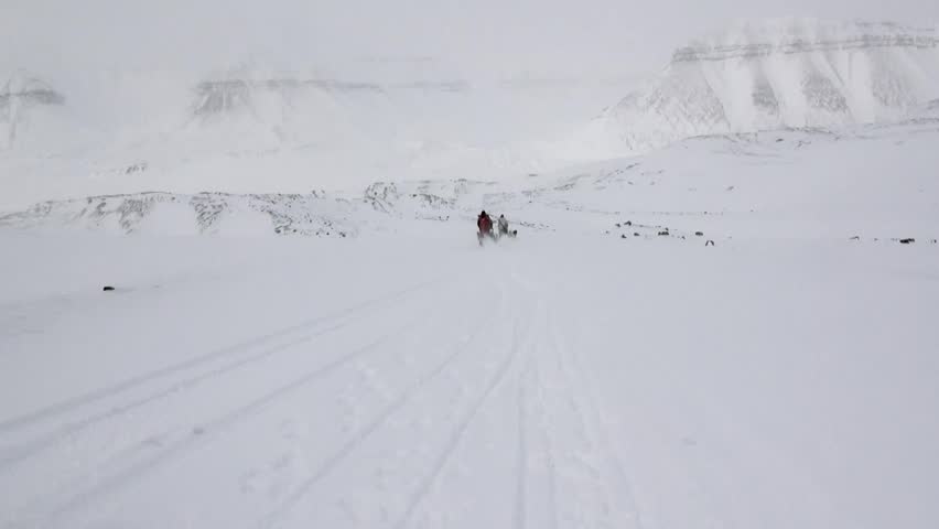 People expedition riding dog sled team on snowy road of North Pole in Arctic. Way from airport Longyear to Pyramid Spitsbergen on background of glacier mountains Svalbard in Norway.