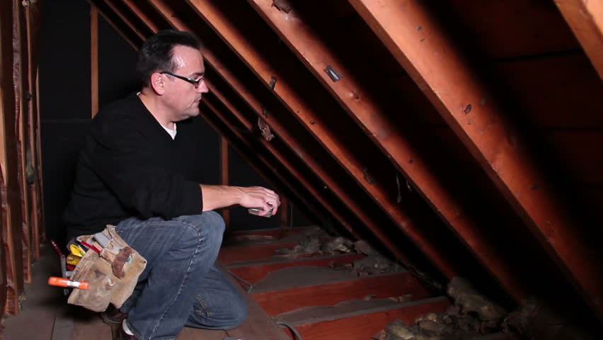 A contractor inspected an attic.