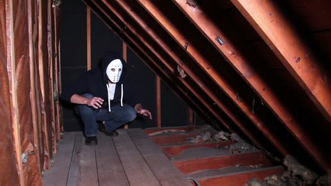 A crazy masked killer is trapped in an attic crawlspace.