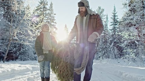 Dolly with slow motion of happy little boy wearing warm jacket, hat and scarf helping bearded father dragging cut Christmas tree along snowy path in winter forest on sunny day
