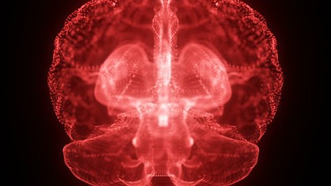 Rotating Hologram of Human Brain | Glowing Light Particles Arranged in the Formation of Human Brain Model Spinning 360 Degree | Seamless Looping Motion Animated Background | Red Maroon