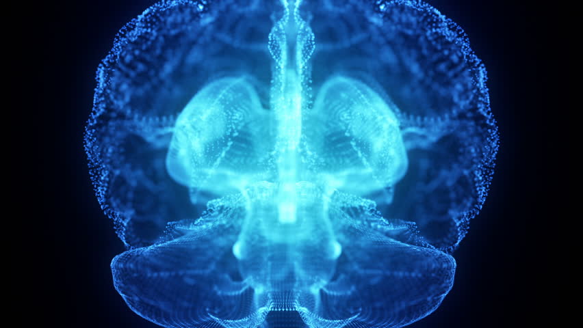 Rotating Hologram of Human Brain | Glowing Light Particles Arranged in the Formation of Human Brain Model Spinning 360 Degree | Seamless Looping Motion Animated Background | Blue Cyan | Shutterstock HD Video #32314693