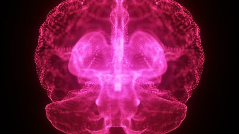 Rotating Hologram of Human Brain | Glowing Light Particles Arranged in the Formation of Human Brain Model Spinning 360 Degree | Seamless Looping Motion Animated Background | Pink Magenta