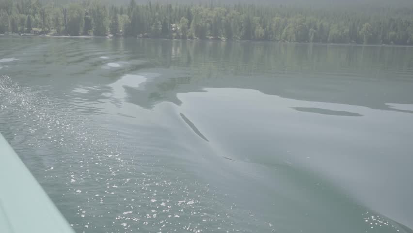 Ferry wake on Lake McDonald in Glaciers National Park, Montana USA. 