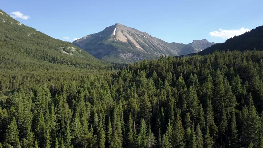 Aerial view of a glacial valley with a glacier in the background. Located in Waterton Lakes National Park, Canada. 