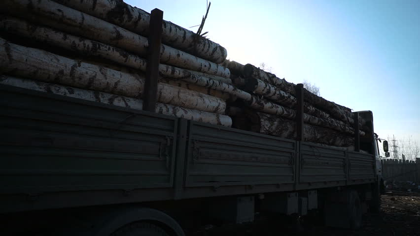 Equipment transports wood logs to double length cargo vehicle in loading area at a timber loading yard