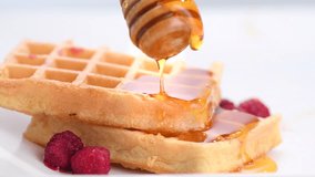 Waffles with honey and berries close-up. Healthy breakfast. Honey pouring on a fresh Belgian waffles.