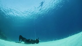 Freediver makes ring bubble underwater. Set of clips of ring bubbles move in a water