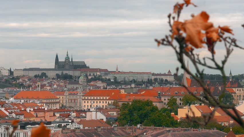 Aerial view of the Old Town architecture with red roofs in Prague , Czech Republic. St. Vitus Cathedral in Prague.