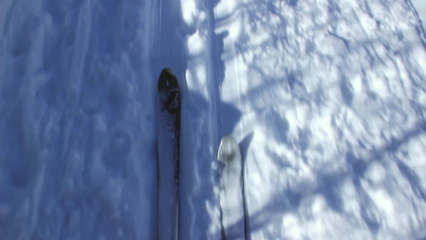 cross country skiing across the snow