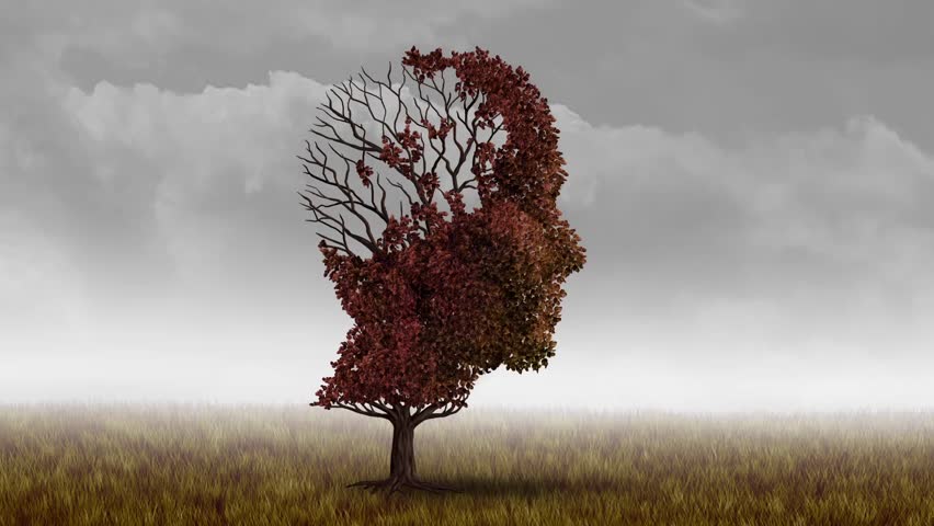 Dementia treatment and Alzheimer brain memory disease therapy concept as old trees recovering as a neurology or psychology cure metaphor with 3D illustration elements. | Shutterstock HD Video #32348920