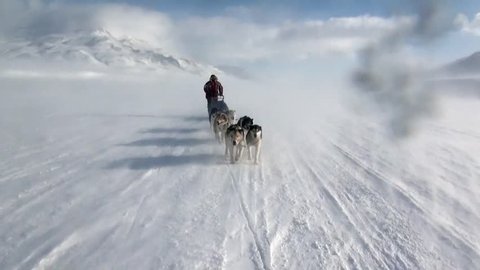 Man riding dog sled team husky Eskimo white snowy road of North Pole in Arctic. Way from airport Longyear to Pyramid on Spitsbergen on background of glacier mountains of Svalbard in Norway.