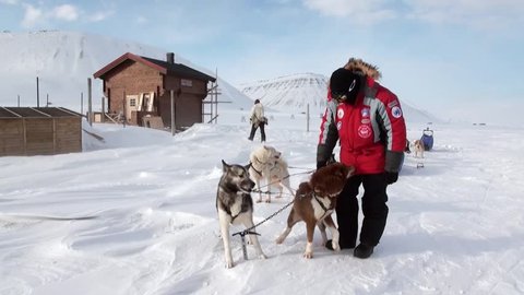 Spitsbergen, Norway-21 April 2011: People expedition on dog sled team husky Eskimo road of North Pole in Arctic. Way from airport Longyear to Pyramiden Spitzbergen on background of glacier Svalbard.