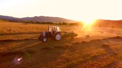 Aerial: Haymaking. Tractor collecting hay and making haystacks. Beautiful Agricultural Footage On the Field During Amazing Golden Sunset. HD Slowmotion. Russia.