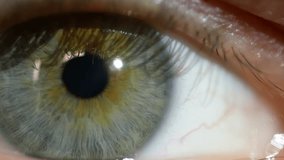 Male eye macro video. The pupil close-up moves in the eye.