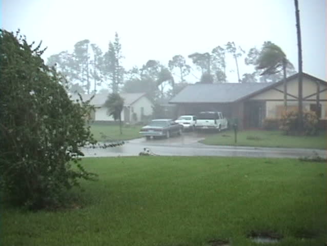 Palm tree limbs blow by in hurricane winds.