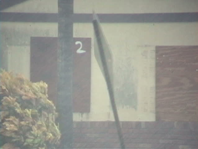 Tropical storm winds and rain blow around a street sign.