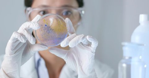 Scientist checking petri dish 