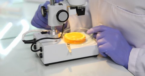 Student Man Examining Samples Microscope Laboratory Microscopic Tests Close Up