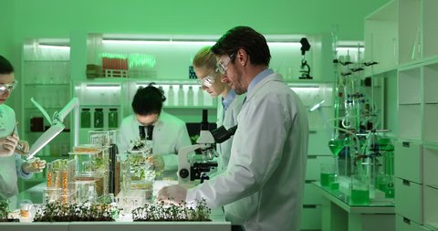 Team of Biochemists Group Discuss Organic Plants and Seeds Work in Research Lab