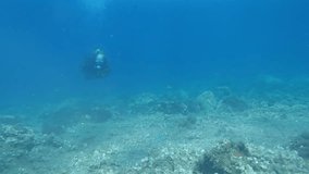 Footage of a Scuba Diving in clear water